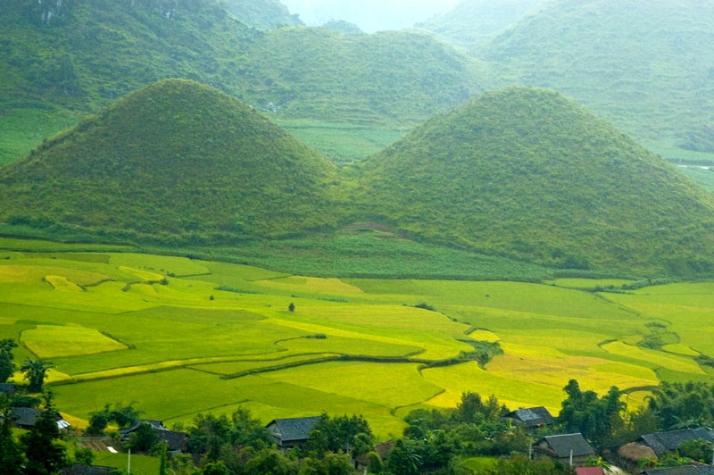 TP. HỒ CHÍ MINH - PHÚ THỌ - TUYÊN QUANG - HÀ GIANG - CAO BẰNG - LẠNG SƠN